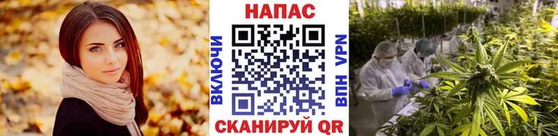 Канабис индика  Медвежьегорск 